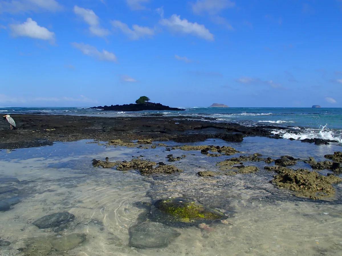 Las Bachas Beach, Puerto Ayora, Galápagos, Ecuador — 2