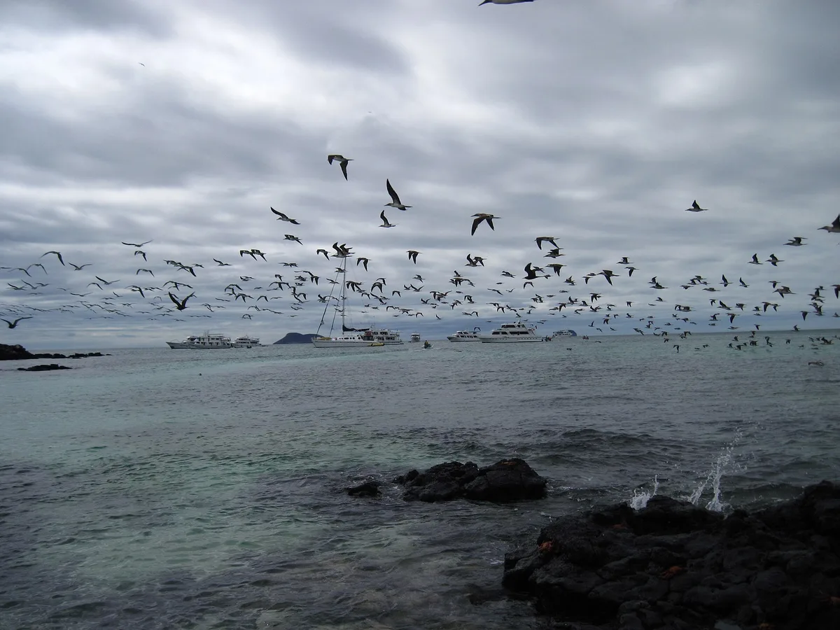 Las Bachas Beach, Puerto Ayora, Galápagos, Ecuador — 3
