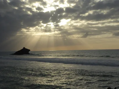 Hawksbill Beach