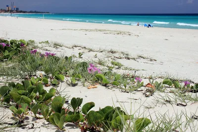 Kawama Beach