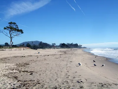 Carpinteria State Beach, Carpinteria, California Coast, United States — 4