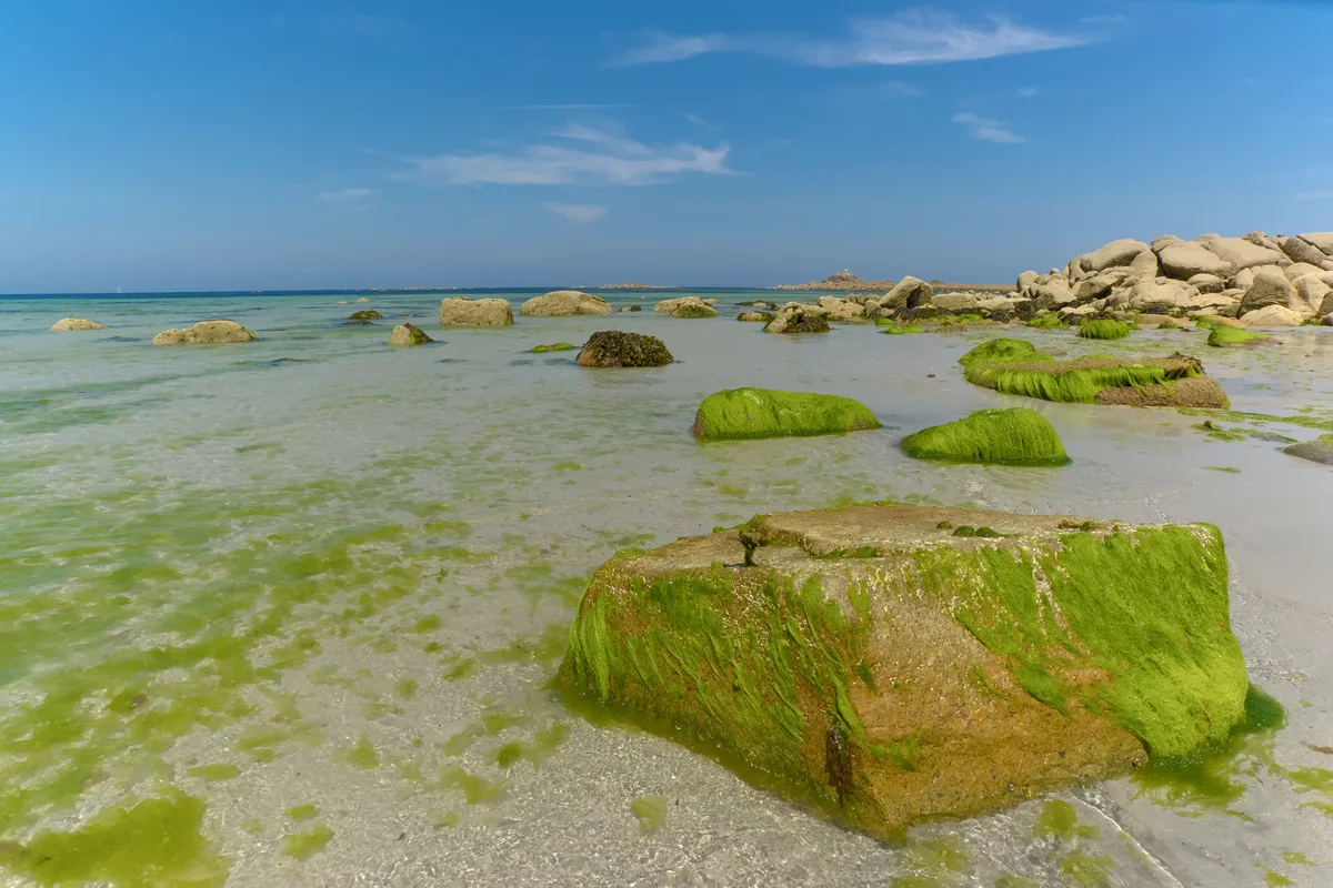 Playa de Trévou-Tréguignec, Trévou-Tréguignec, Brittany, Francia — 2
