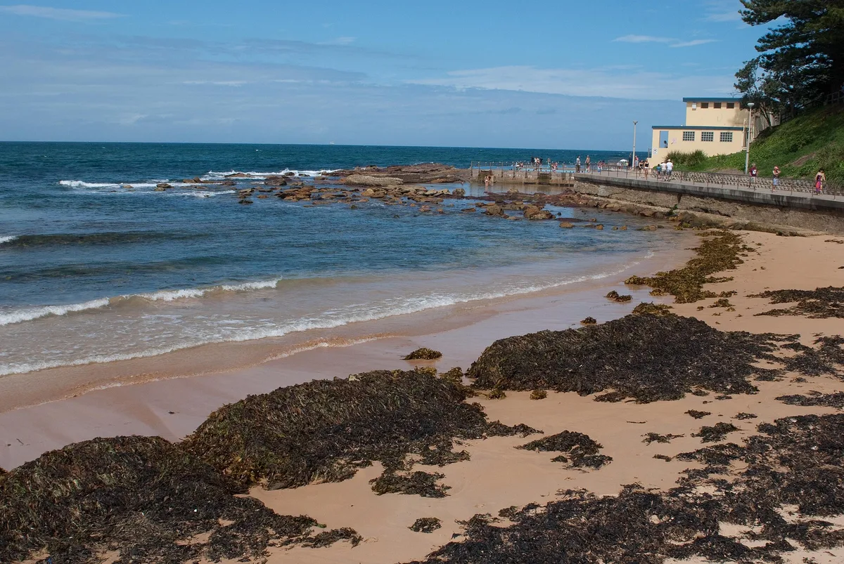 Dee Why Beach, Northern Beaches Council, New South Wales, Australia — 6