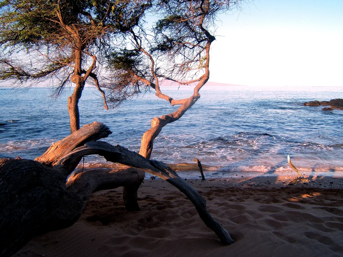 Wailea Beach, Wailea, Hawaii, United States — 6