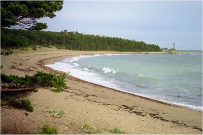 Ristna Beach
