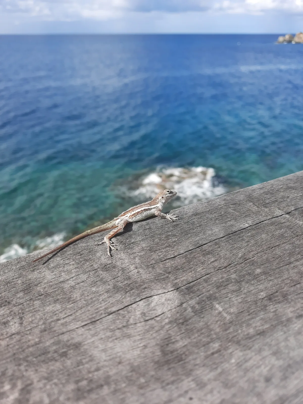 Shell Beach, Gustavia, French Caribbean, France — 6