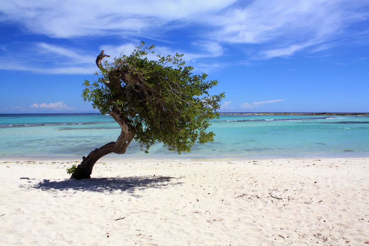 Baby Beach, San Nicolas, Lesser Antilles, Aruba — 2