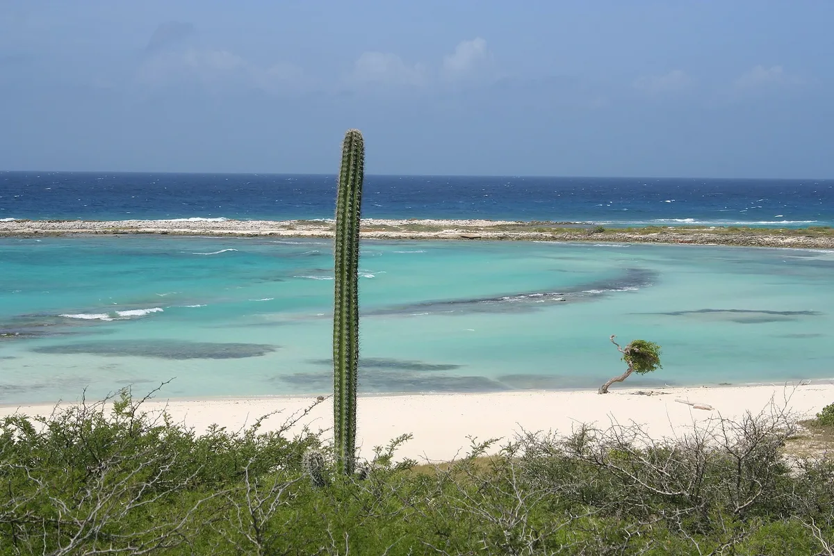 Baby Beach, San Nicolas, Lesser Antilles, Aruba — 3