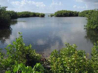 Barkers Beach, West Bay, Cayman Islands, Cayman Islands — 4