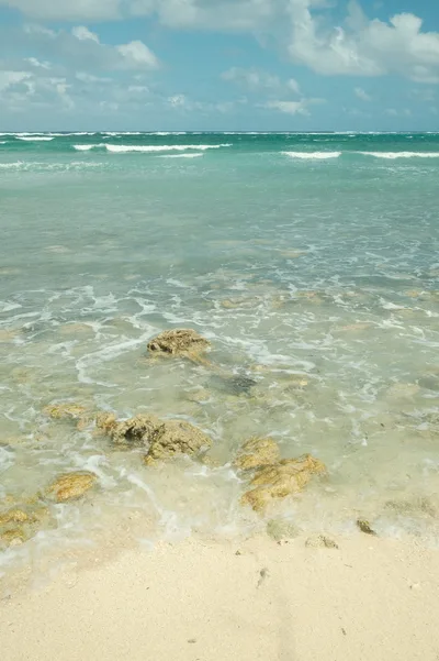 Barkers Beach