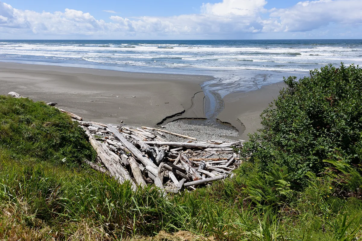 Plages 1–4 (Kalaloch), Jefferson County, Pacific Northwest, États-Unis — 5