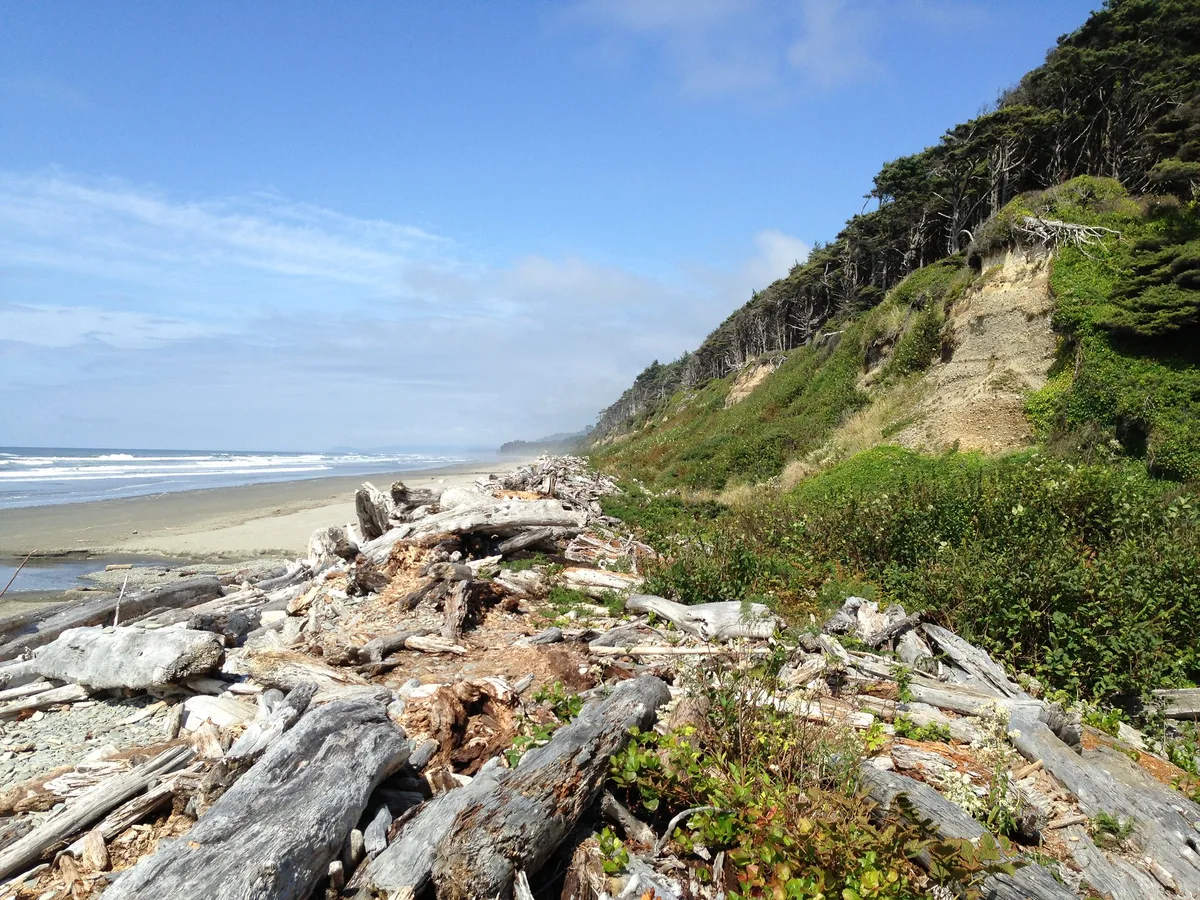 Plages 1–4 (Kalaloch), Jefferson County, Pacific Northwest, États-Unis