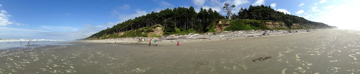 Plages 1–4 (Kalaloch), Jefferson County, Pacific Northwest, États-Unis — 2
