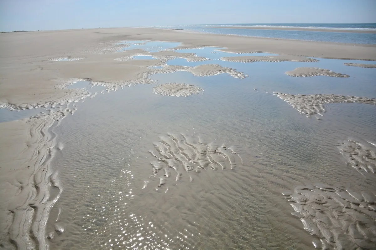 Paal 15 Beach, Texel, North Holland, Netherlands — 4
