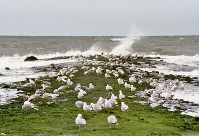 Paal 15 Beach