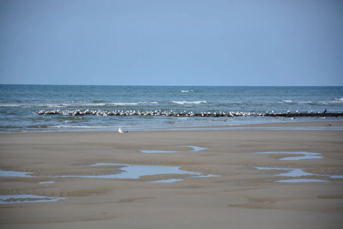 Paal 15 Beach, Texel, North Holland, Netherlands — 5