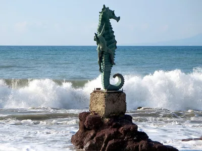 Praia dos Muertos, Puerto Vallarta, Mexican Pacific, México — 2
