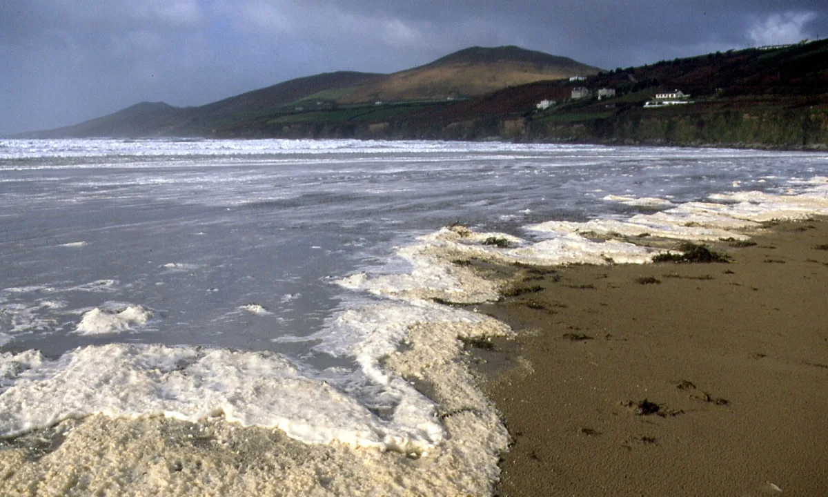 Inch Beach, Inch, Irish Coast, Ireland — 2
