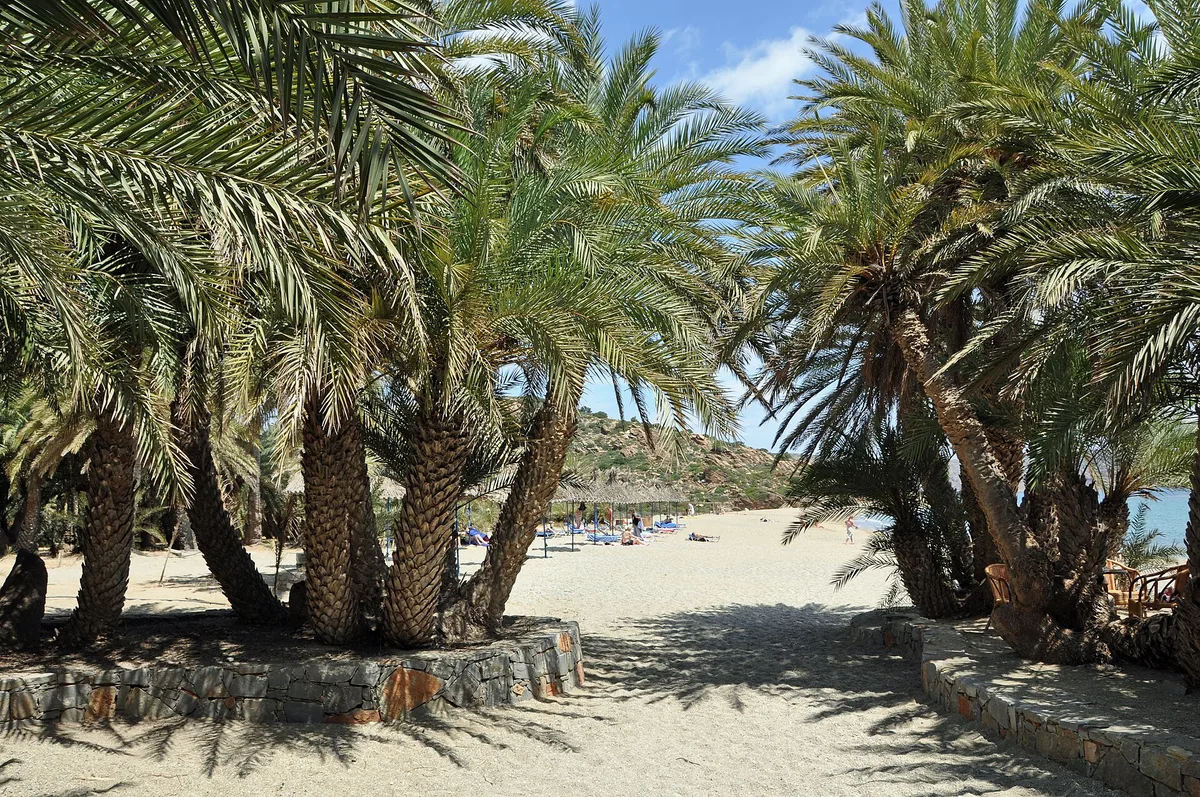 Vai Beach, Siteia, Crete, Greece — 2