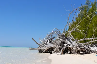 Cable Beach