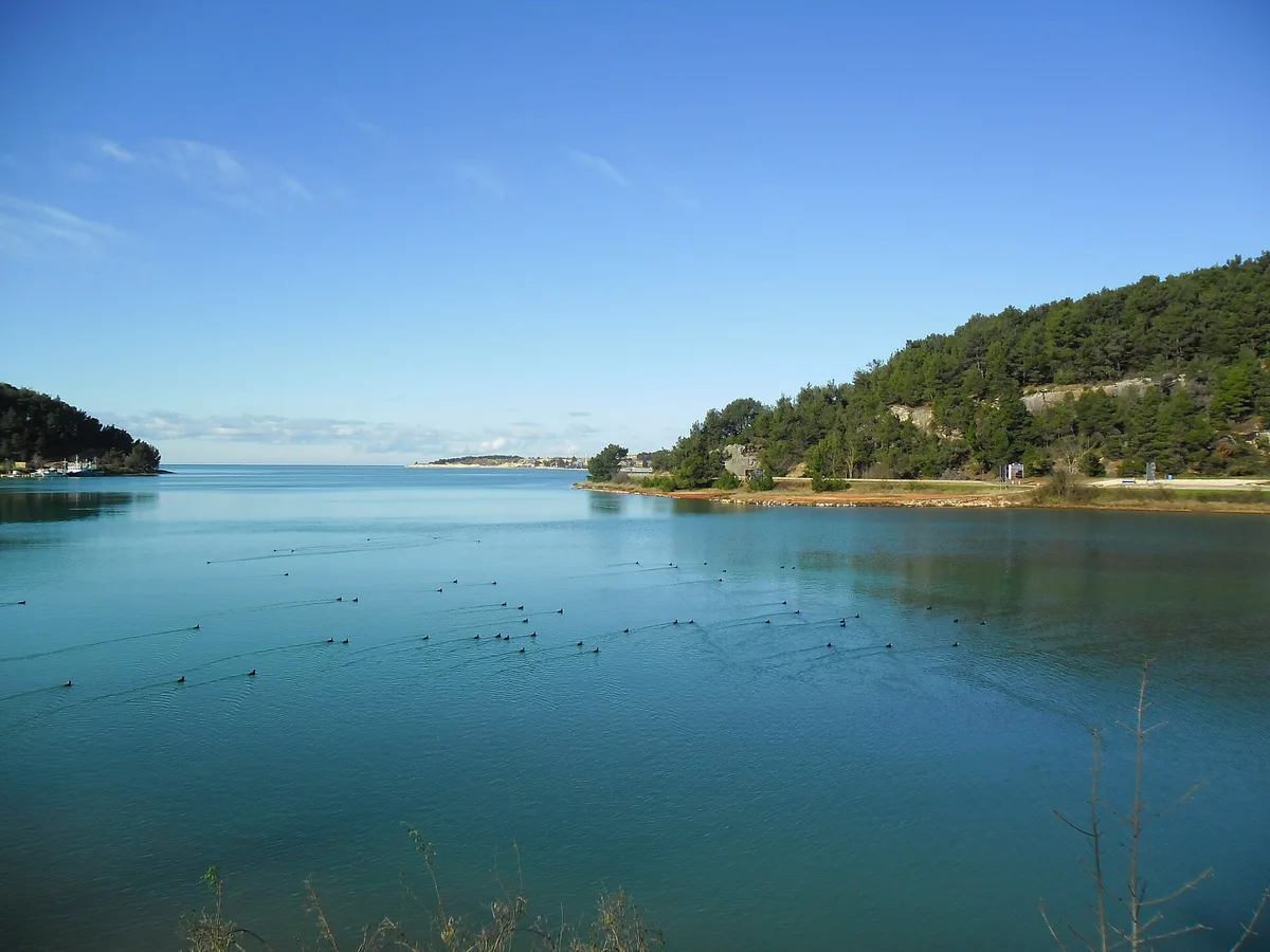 Tarska Vala Beach, Tar-Vabriga, Istria, Croatia — 4
