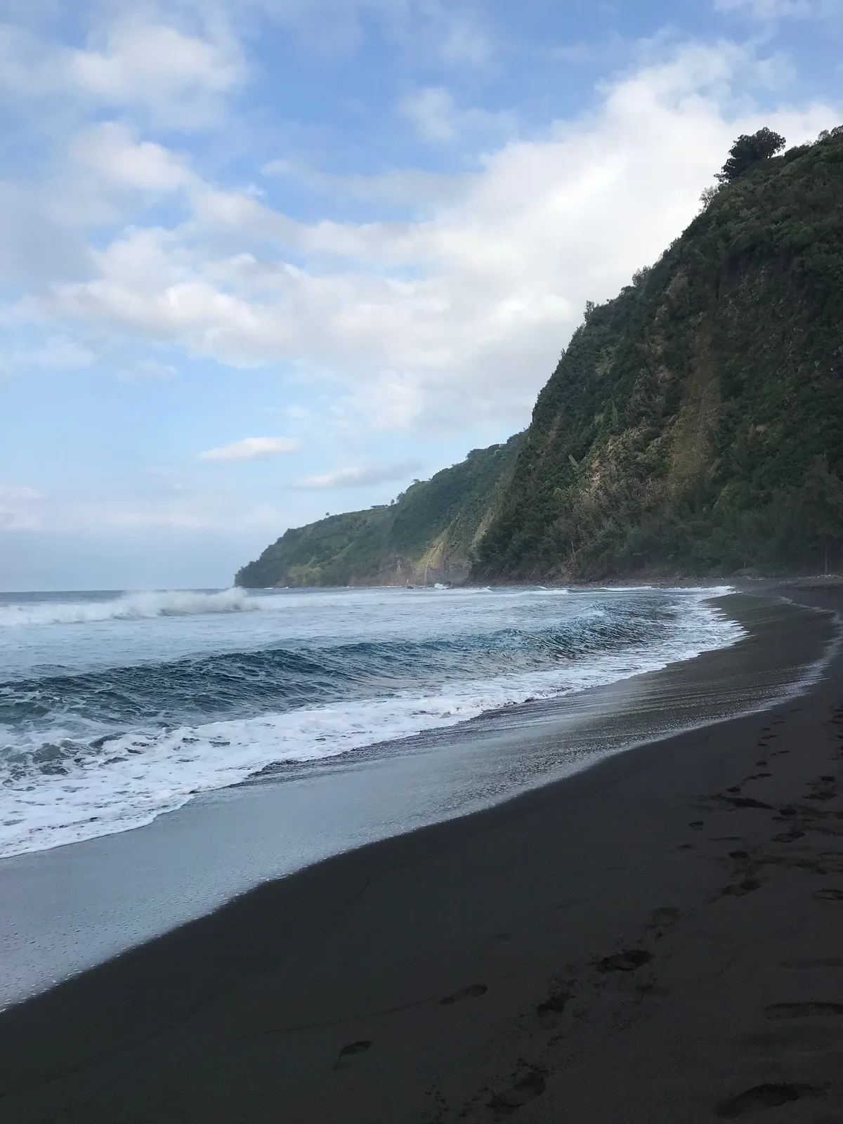 Waipio Valley Beach, Hawaii County, Hawaii, United States — 2