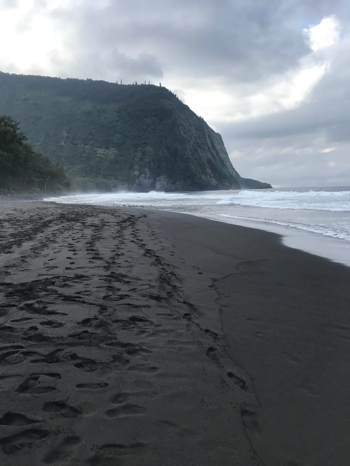 Waipio Valley Beach, Hawaii County, Hawaii, United States — 5