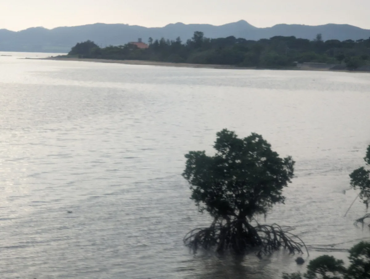 Nagura Beach, Ryukyu Islands, Japan — 4