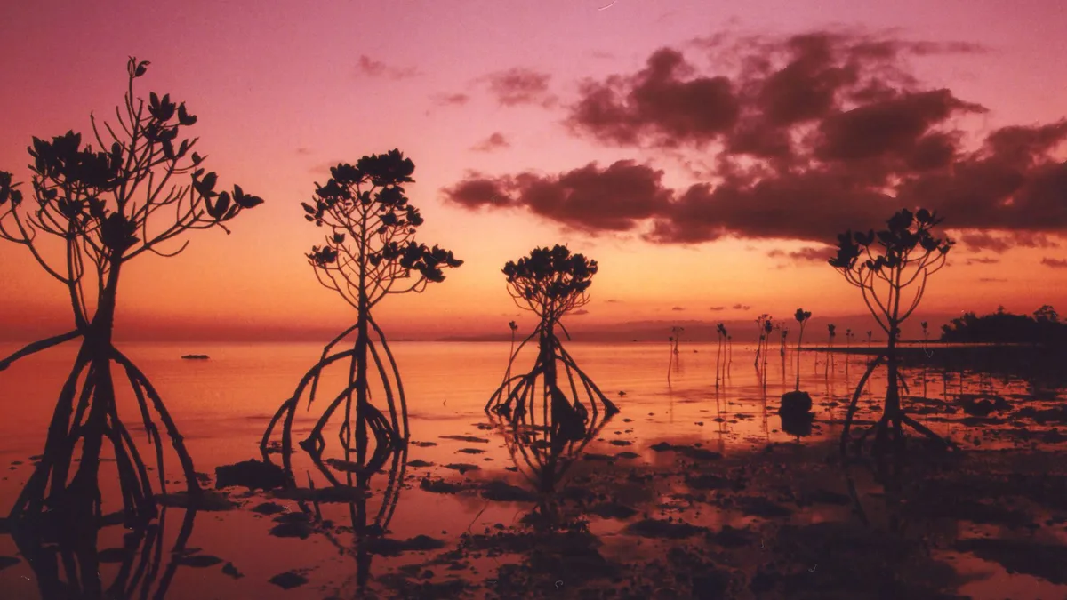 Nagura Beach, Ryukyu Islands, Japan — 2