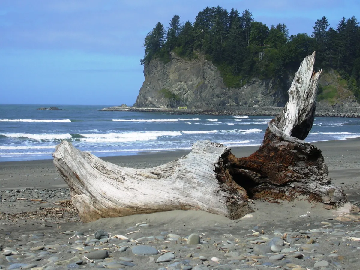 First Beach, Clallam County, Pacific Northwest, Vereinigte Staaten — 4