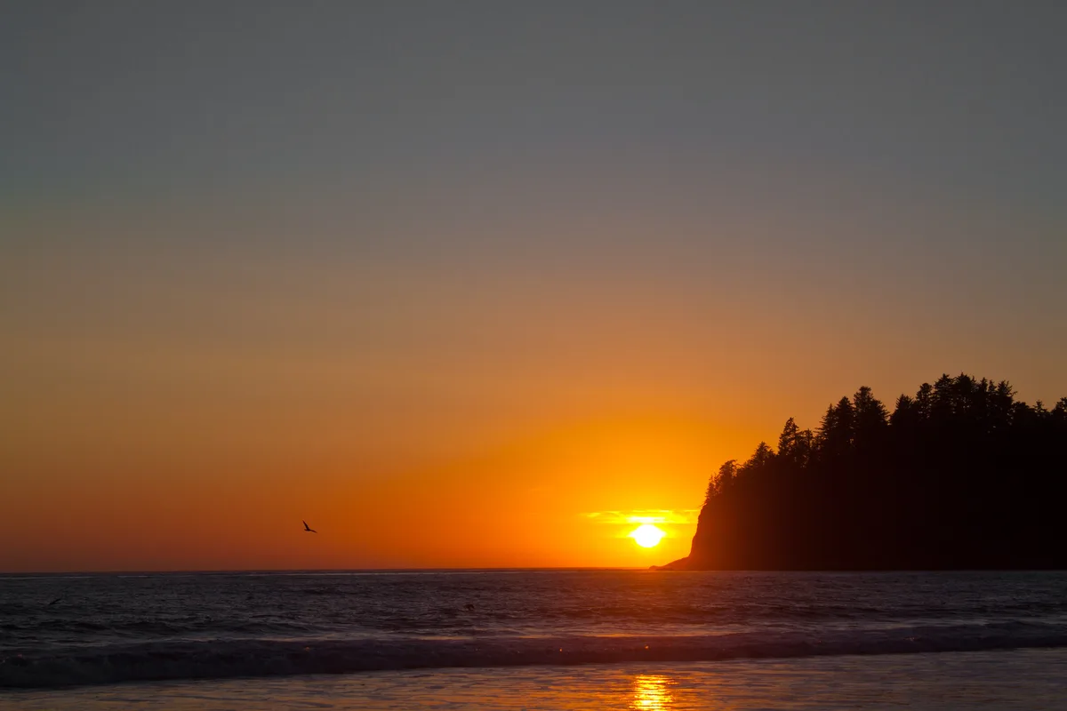 First Beach, Clallam County, Pacific Northwest, Vereinigte Staaten — 3