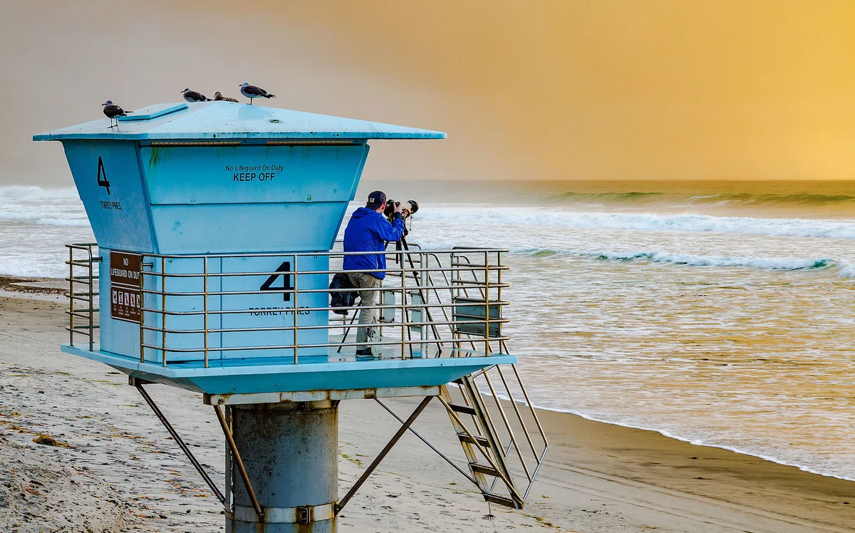 Torrey Pines State-strand, San Diego, California Coast, Verenigde Staten — 4