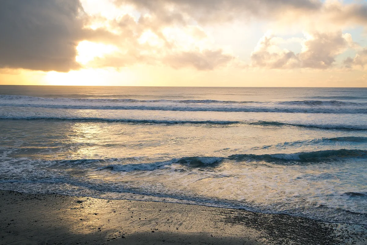 Torrey Pines State-strand, San Diego, California Coast, Verenigde Staten
