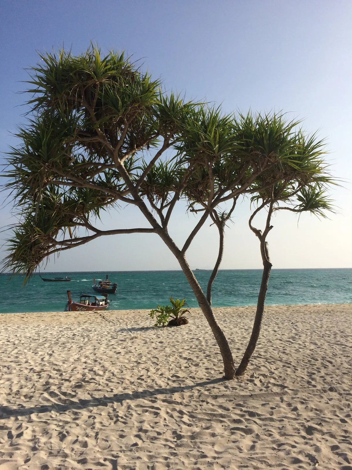 Koh Lao Beach, Ko Sarai, Andaman Sea, Thailand