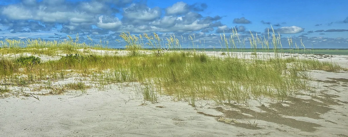 North Beach at Honeymoon Island, Dunedin, Florida, United States — 3