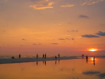 North Beach at Honeymoon Island
