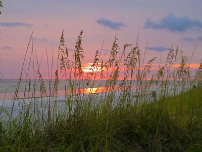 North Beach at Honeymoon Island, Dunedin, Florida, United States — 2