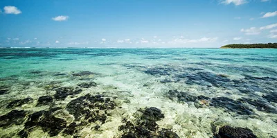 Blue Bay