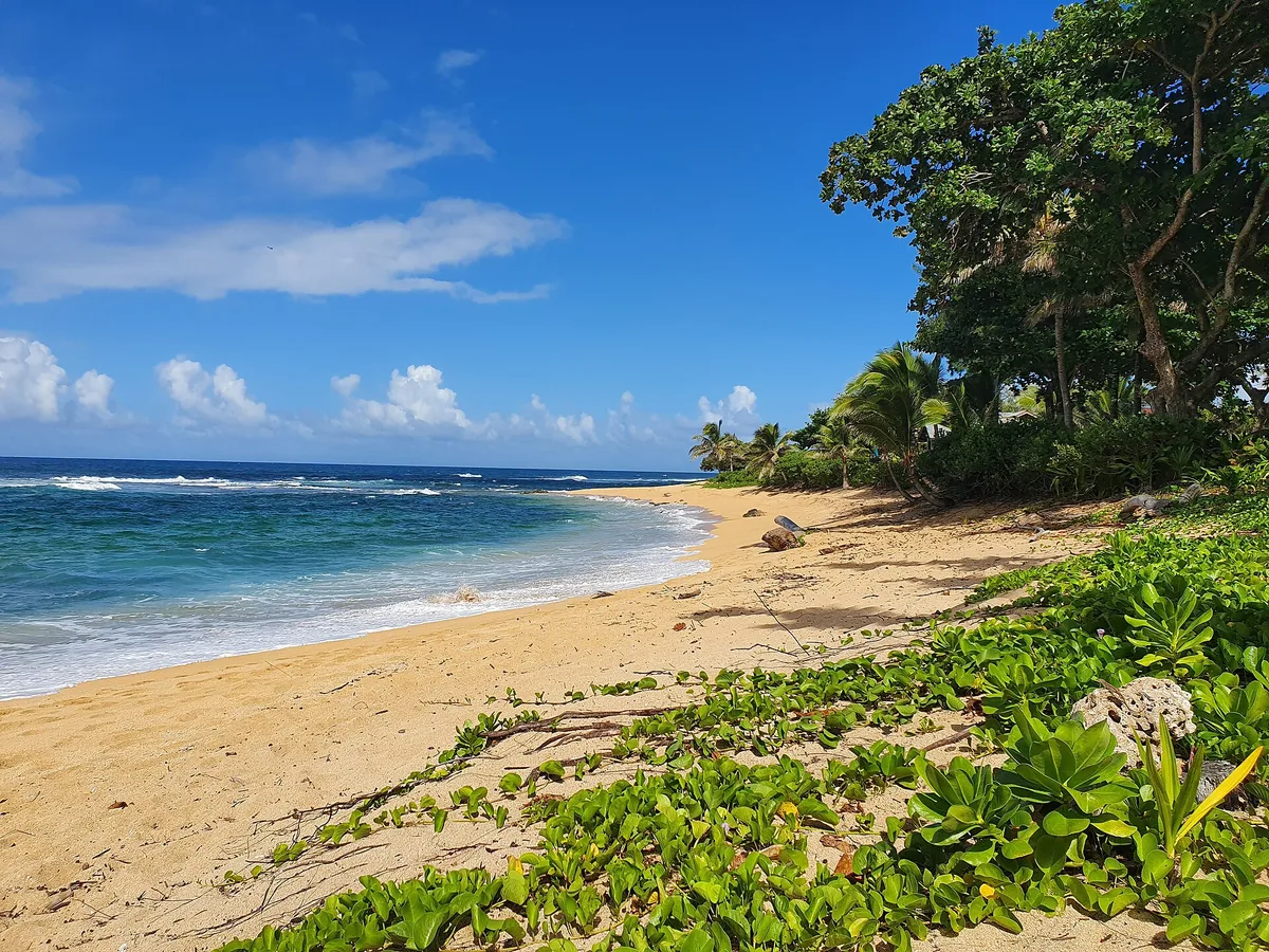 Tunnels Beach, Ha'ena, Hawaii, United States — 6