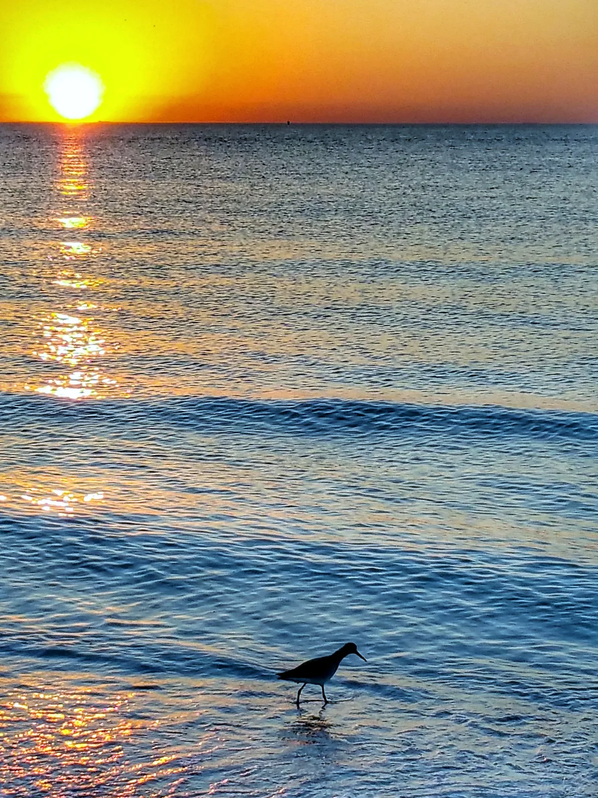 Plage de Pass-a-Grille, St. Pete Beach, Florida, États-Unis