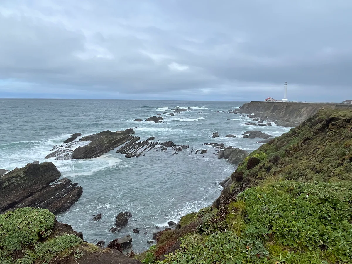 Arena Cove Beach, Point Arena, California Coast, United States — 6