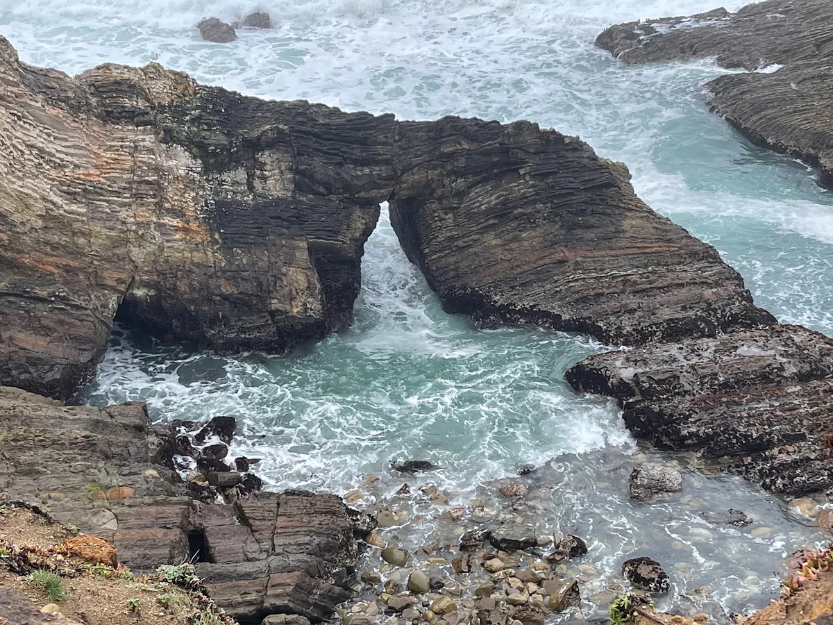 Arena Cove Beach, Point Arena, California Coast, United States — 5