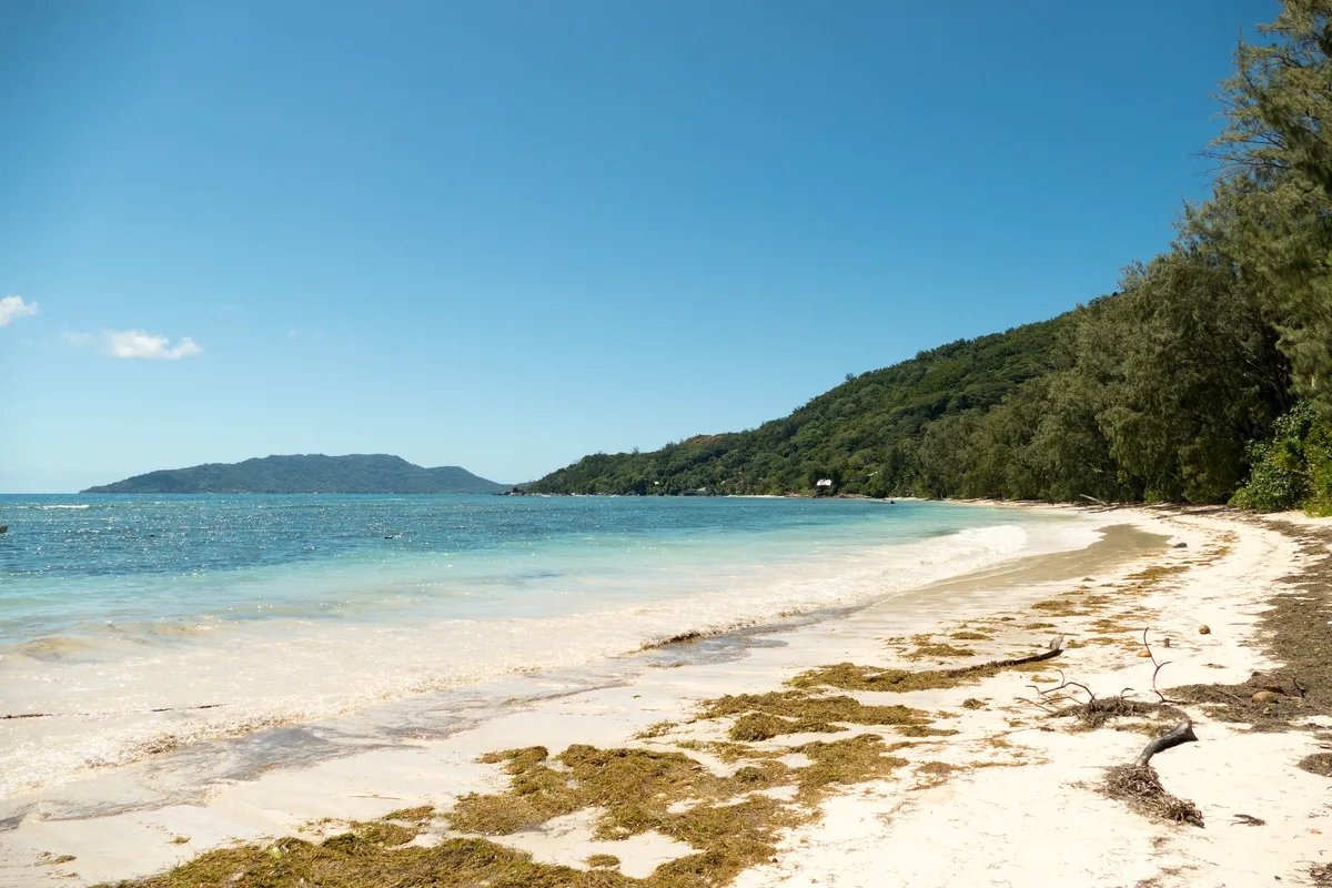 Anse La Blague Beach, Baie Sainte Anne, Seychelles Inner Islands, Seychelles — 3