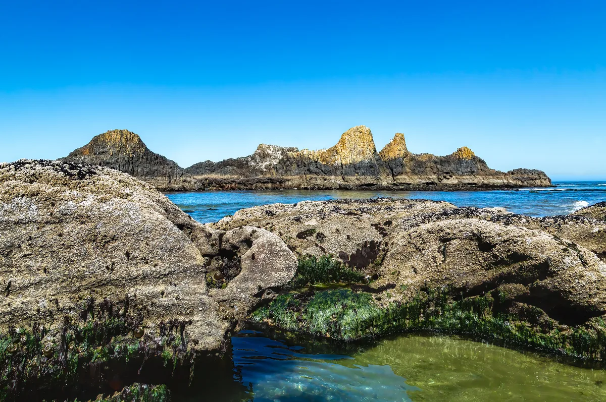 Plage de Seal Rock, Seal Rock, Pacific Northwest, États-Unis — 4