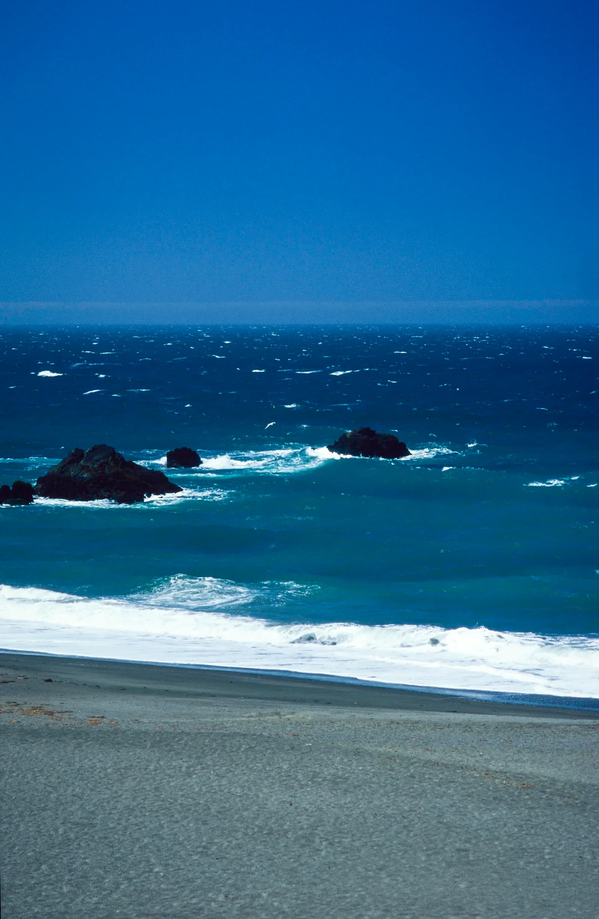 Schooner Gulch State Beach, Point Arena, California Coast, United States — 6