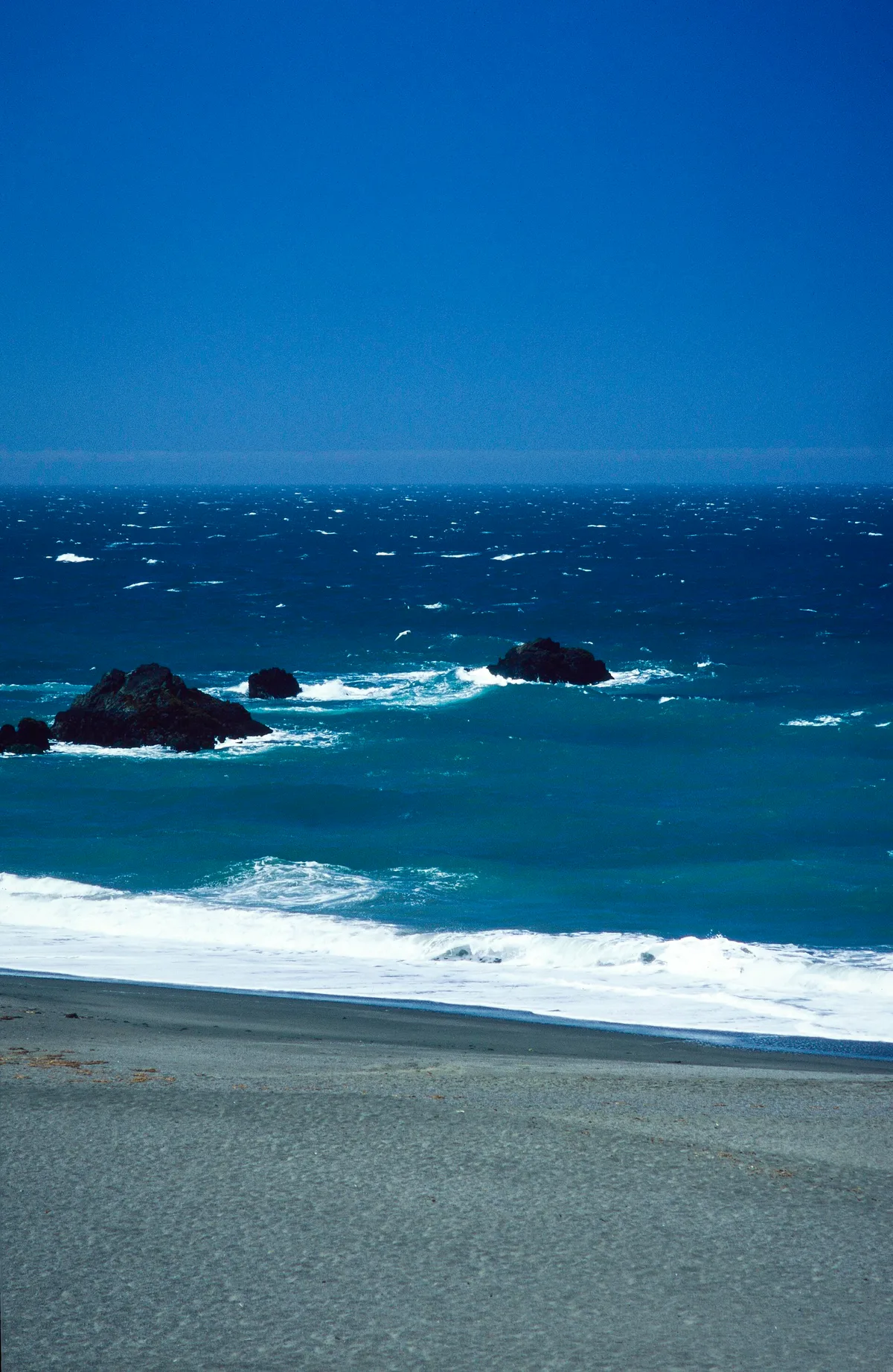 Schooner Gulch State Beach, Point Arena, California Coast, United States — 5