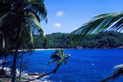 Anse Petite Cour Beach