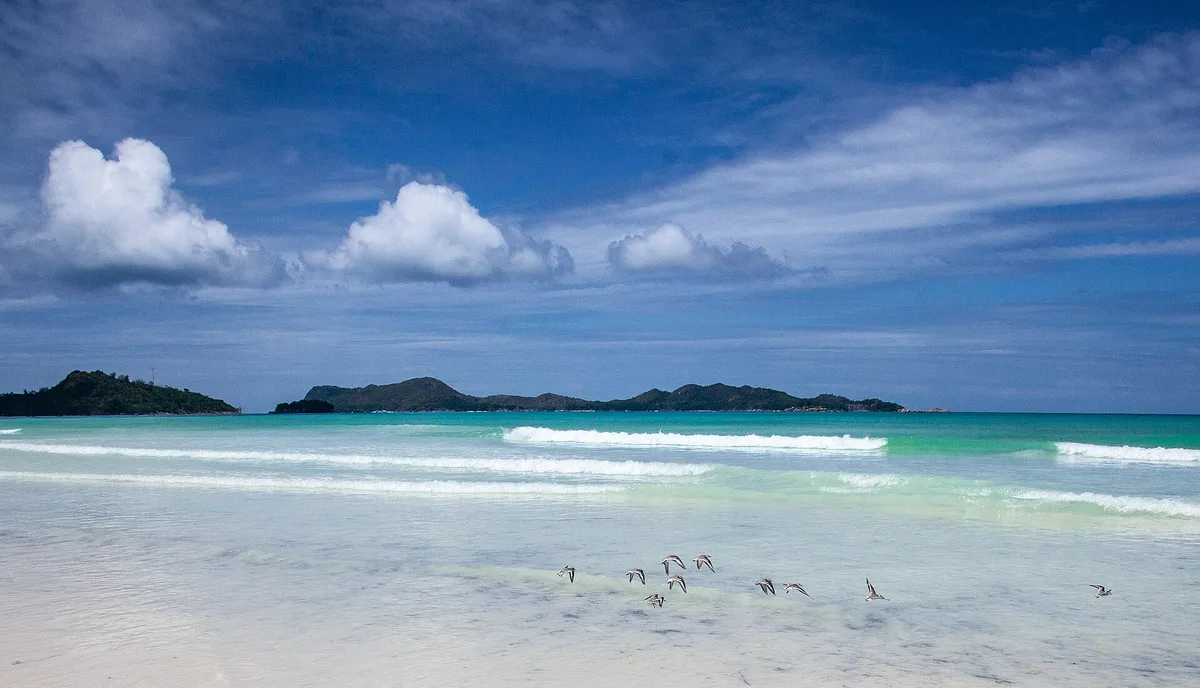 Anse Petite Cour Beach, Grand Anse, Seychelles Inner Islands, Seychelles — 4