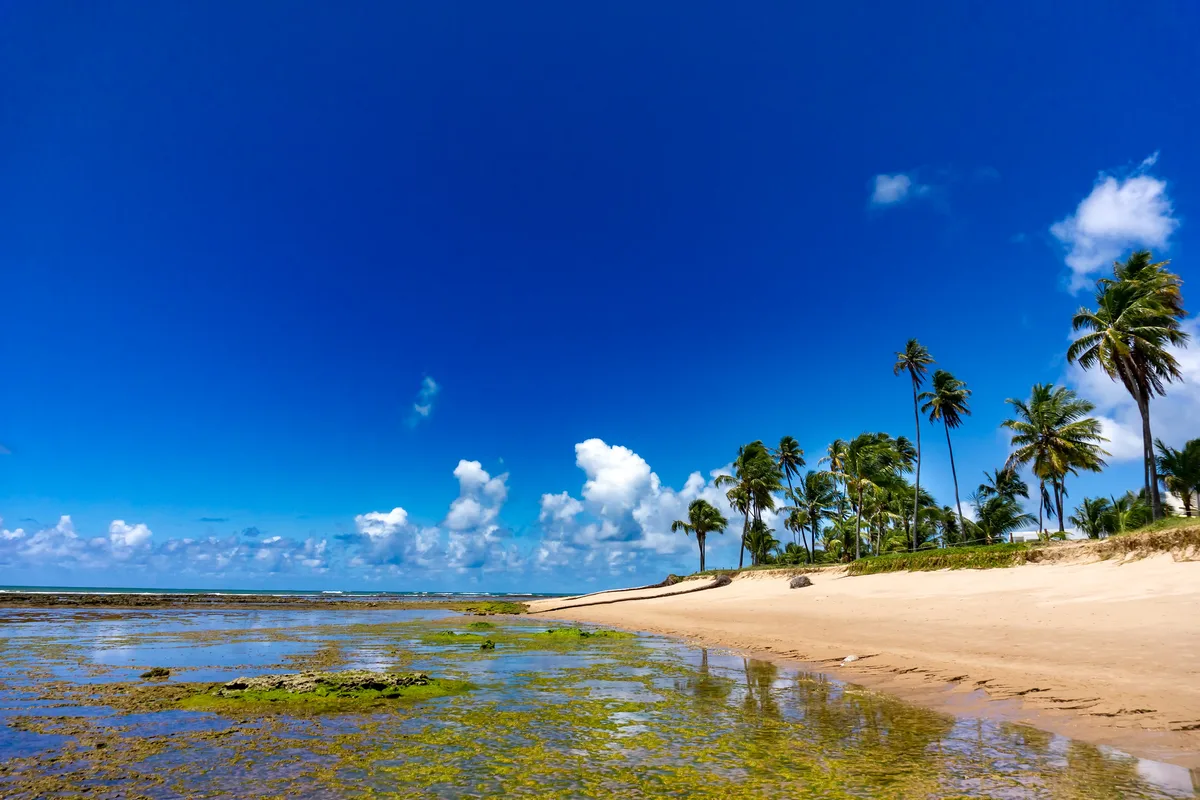 Guarajuba Beach, Camaçari, Brazilian Atlantic, Brazil — 2