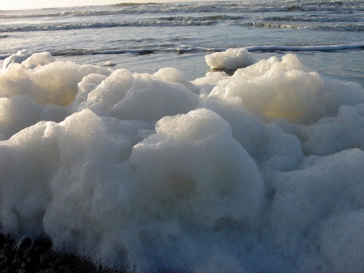 Playa de Seafoam, Seafoam, Canadian Atlantic, Canadá — 2